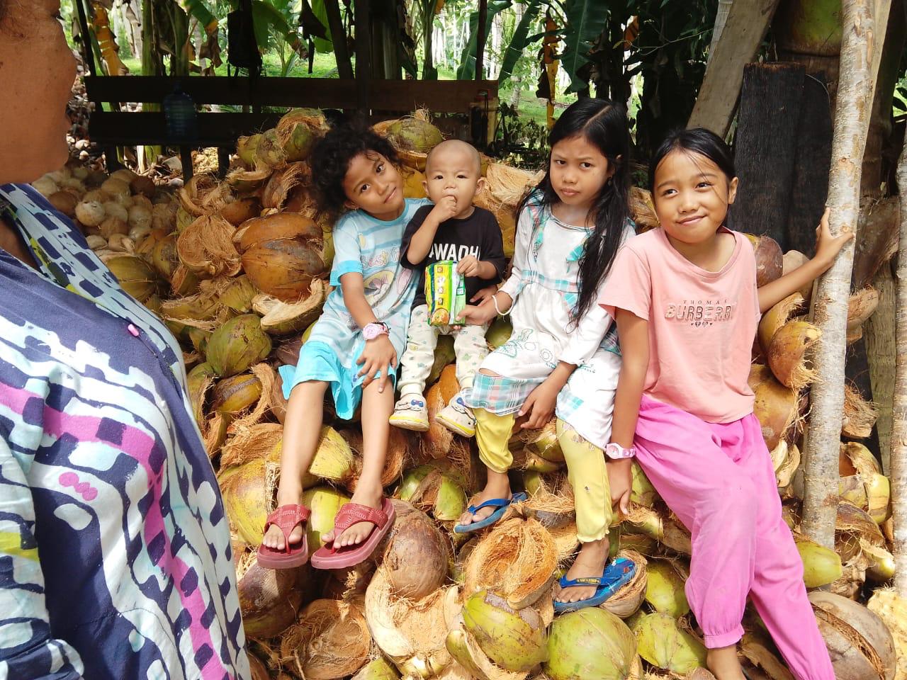 Kelapa segar berkualitas
